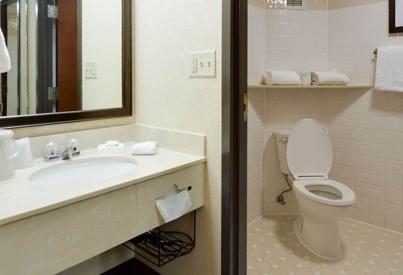 Номер Deluxe, Pear Tree Inn Sikeston