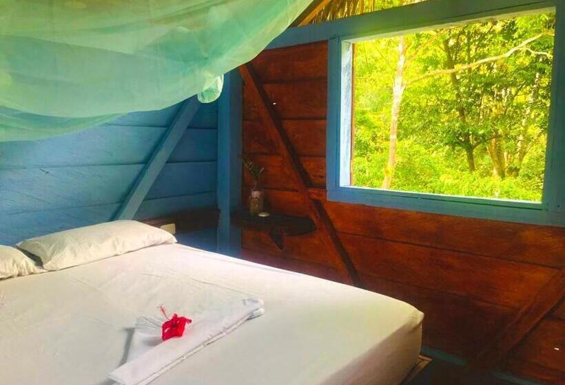 اتاق استاندارد, Hostal Doble Vista