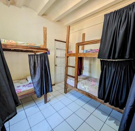 공동 객실, Screaming Gecko Hostel