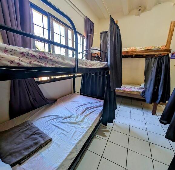 공동 객실, Screaming Gecko Hostel