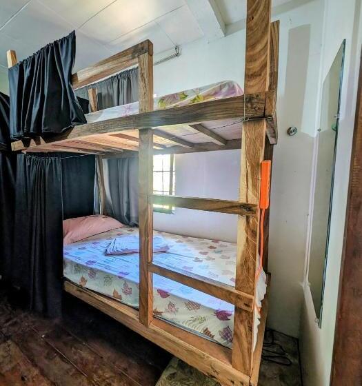 디럭스 패밀리 룸, Screaming Gecko Hostel