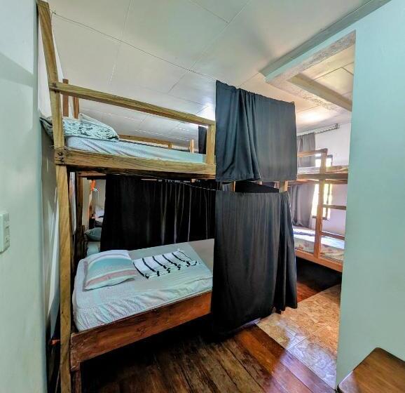 디럭스 패밀리 룸, Screaming Gecko Hostel