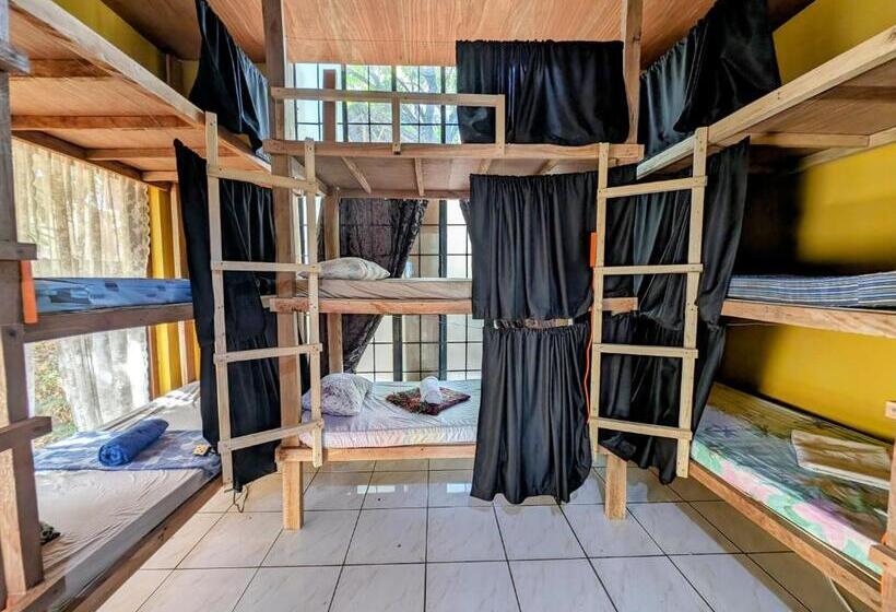 공동 객실, Screaming Gecko Hostel