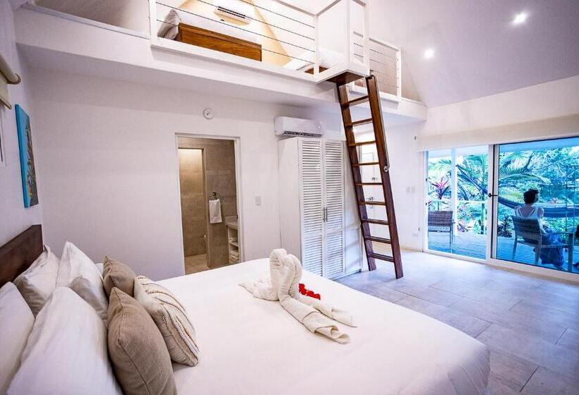 四人豪华间, Aves Hotel Montezuma