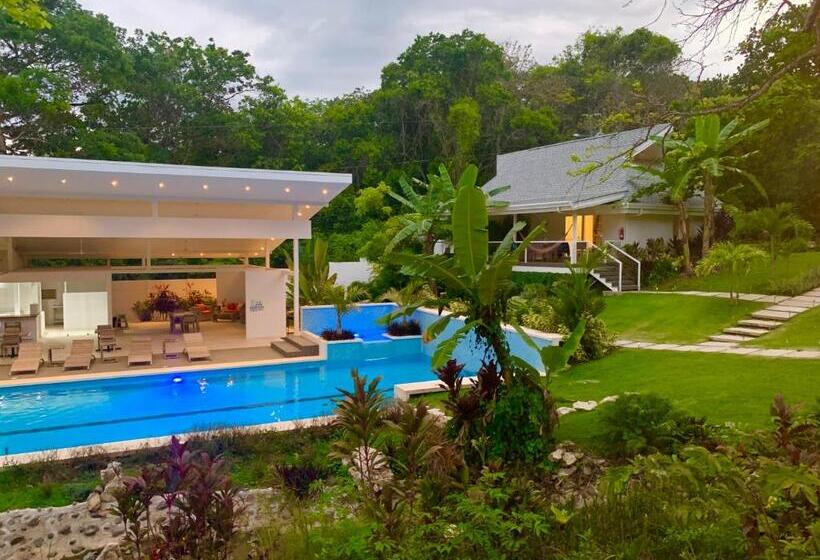 适合残疾人士使用的带超级大床的标准间, Aves Hotel Montezuma