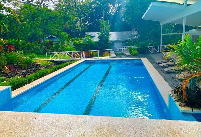 适合残疾人士使用的带超级大床的标准间, Aves Hotel Montezuma