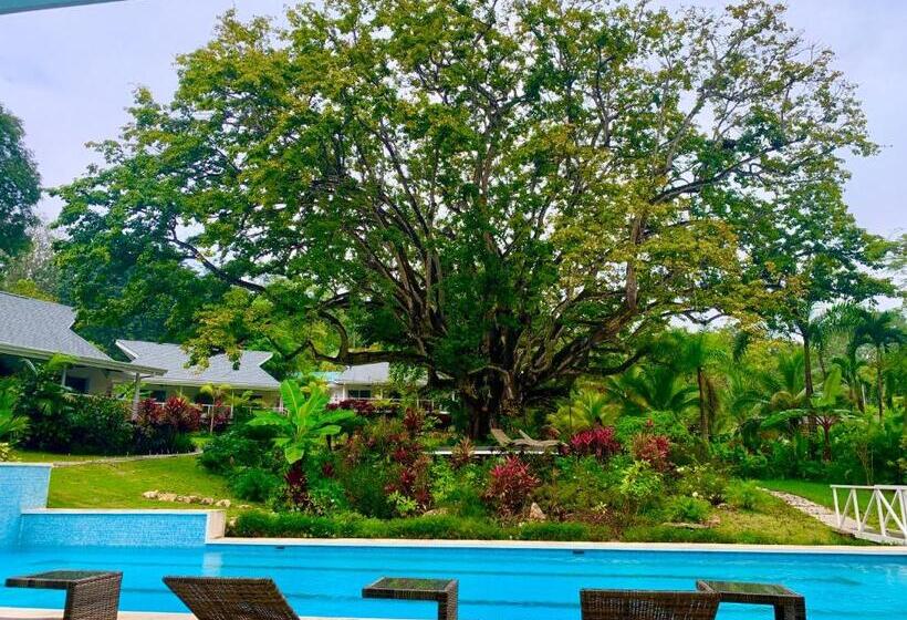 四人豪华间, Aves Hotel Montezuma