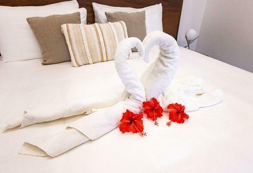 四人豪华间, Aves Hotel Montezuma