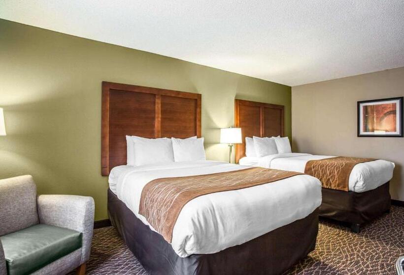 Номер Стандарт, Comfort Inn & Suites Kannapolis   Concord