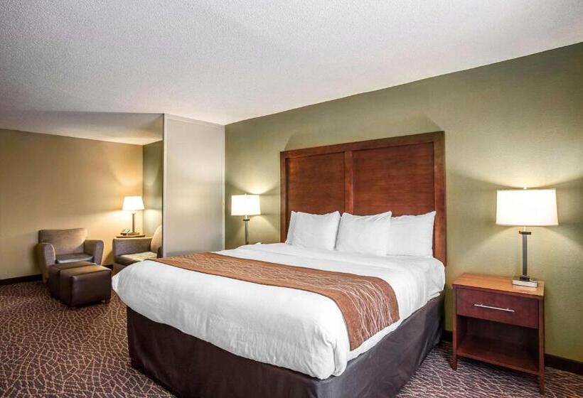 Люкс Кровать Кинг, Comfort Inn & Suites Kannapolis   Concord
