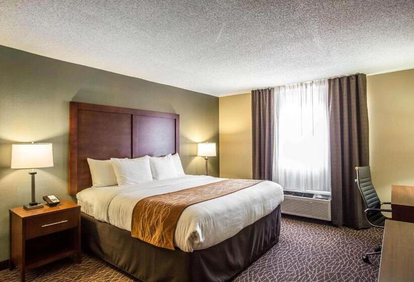 Номер Стандарт Кровать Кинг Адаптированный для Инвалидов, Comfort Inn & Suites Kannapolis   Concord