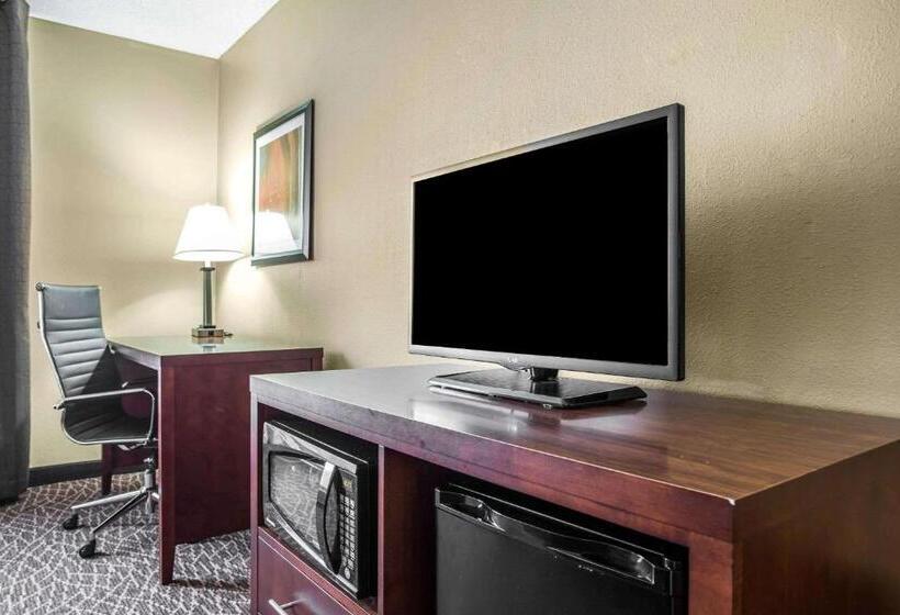 Номер Стандарт Кровать Кинг Адаптированный для Инвалидов, Comfort Inn & Suites Kannapolis   Concord