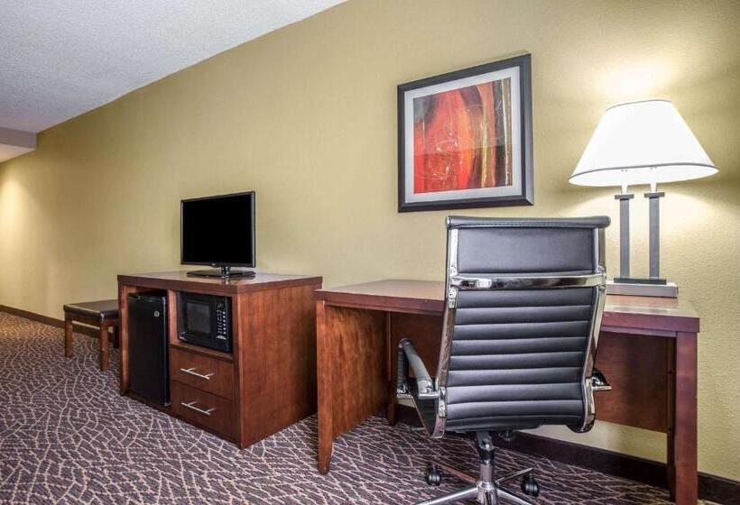 Номер Стандарт Адаптированный для Инвалидов, Comfort Inn & Suites Kannapolis   Concord