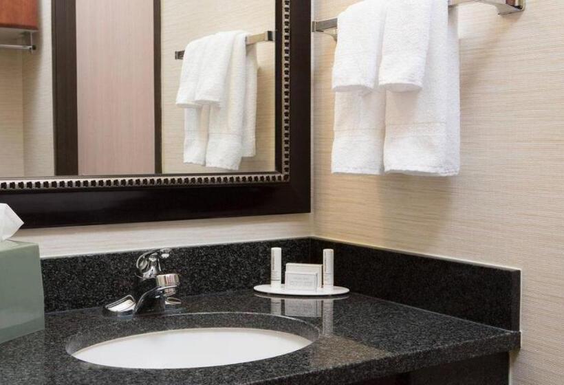 Стандартный Номер Кровать Кинг, Comfort Inn & Suites Olathe   Kansas City