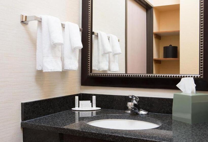 Номер Стандарт Индивидуальный, Comfort Inn & Suites Olathe   Kansas City