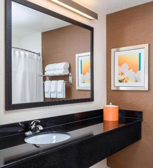 Номер Deluxe Адаптированный для Инвалидов, Fairfield Inn & Suites Mansfield Ontario
