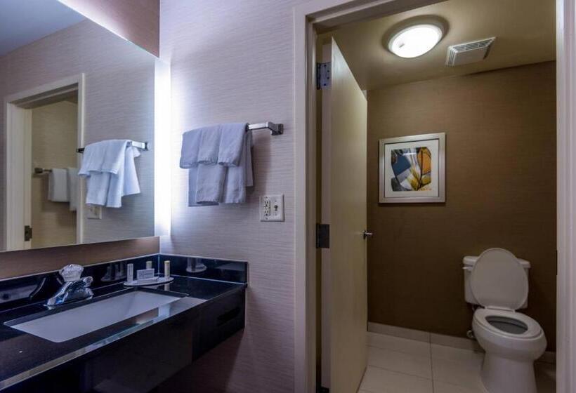 اتاق استاندارد, Fairfield Inn & Suites Savannah I95 South
