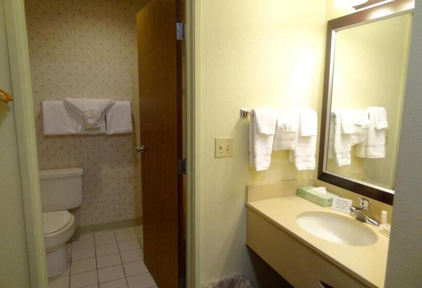 디럭스 스위트 킹 침대, Ramada By Wyndham Coeur D'alene