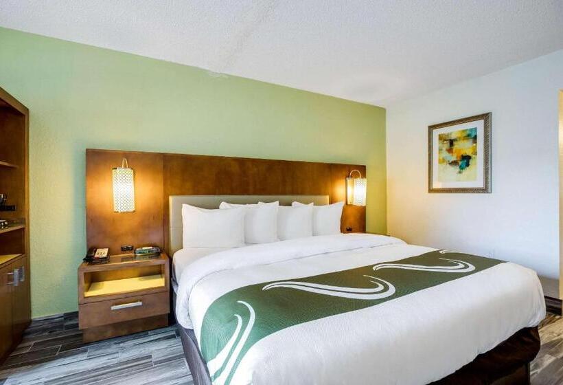 스탠다드 룸 킹사이즈 침대, Baymont By Wyndham Orlando Downtown