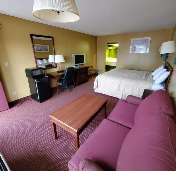 스탠다드 룸 킹사이즈 침대, Gray Plaza Motel West Frankfort