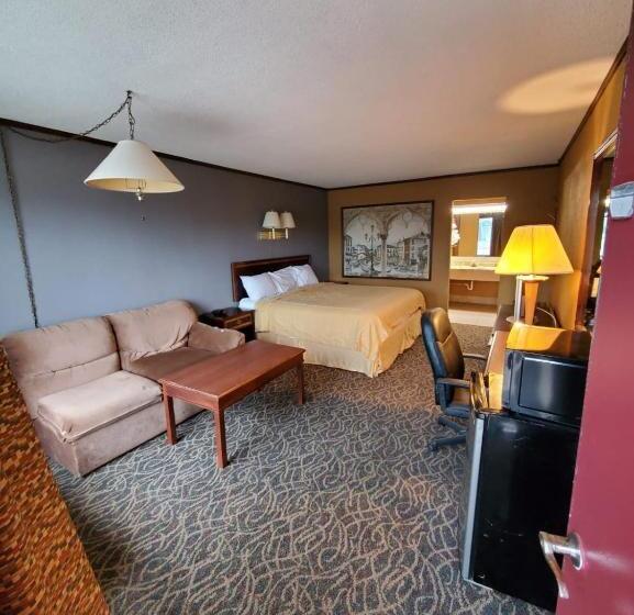 스탠다드 룸 킹사이즈 침대, Gray Plaza Motel West Frankfort