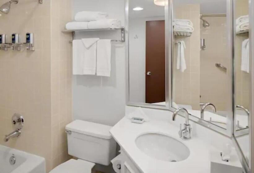 标准间, Radisson Hotel Detroit Metro Airport