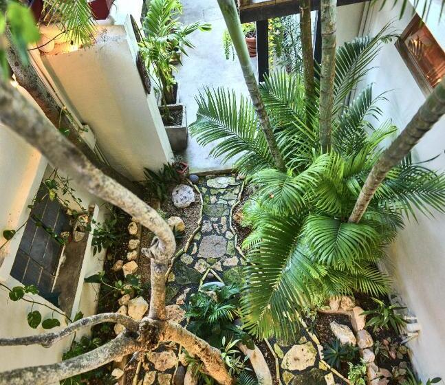 اتاق اکونومی, Hostal Don Cenobio