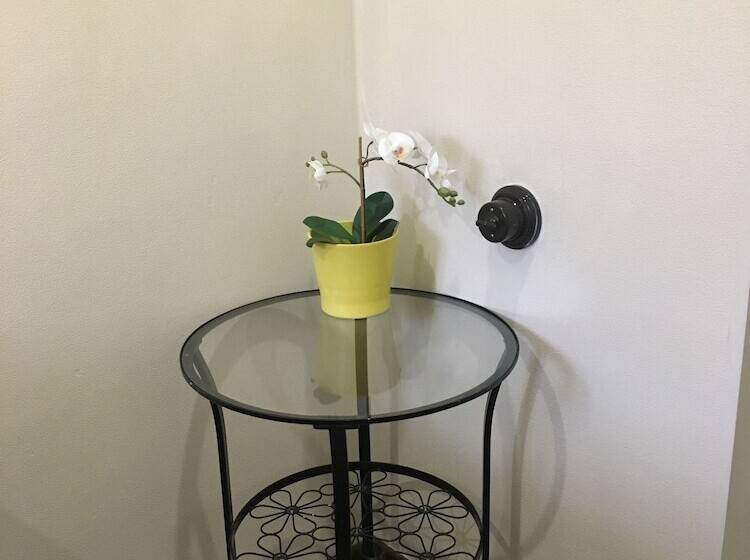 חדר אקונומי, Pasternak Hostel