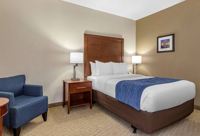 Номер Стандарт Двуспальная Кровать Адаптированный для Инвалидов, Comfort Inn Near Greenfield Village