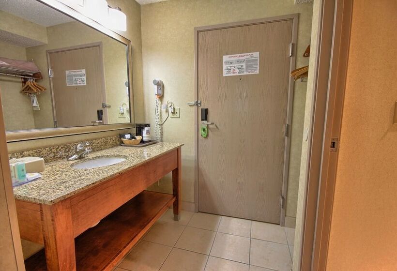 Номер Стандарт 2 Двуспальные Кровати, Comfort Inn Near Greenfield Village