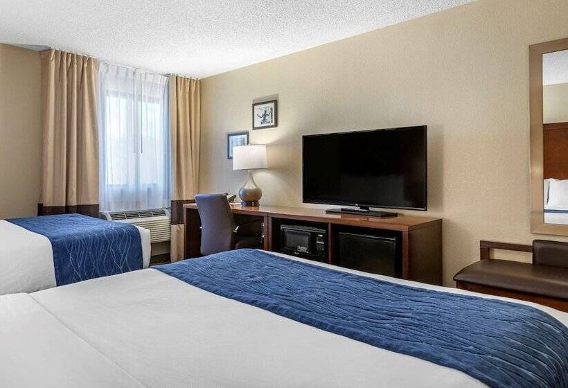 Номер Стандарт 2 Двуспальные Кровати, Comfort Inn Near Greenfield Village