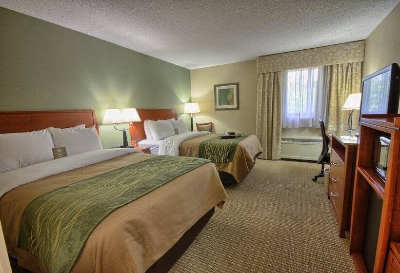 Номер Стандарт 2 Двуспальные Кровати, Comfort Inn Near Greenfield Village