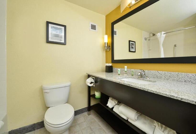 스탠다드 룸, Spark By Hilton Denver Tech Center Greenwood Village