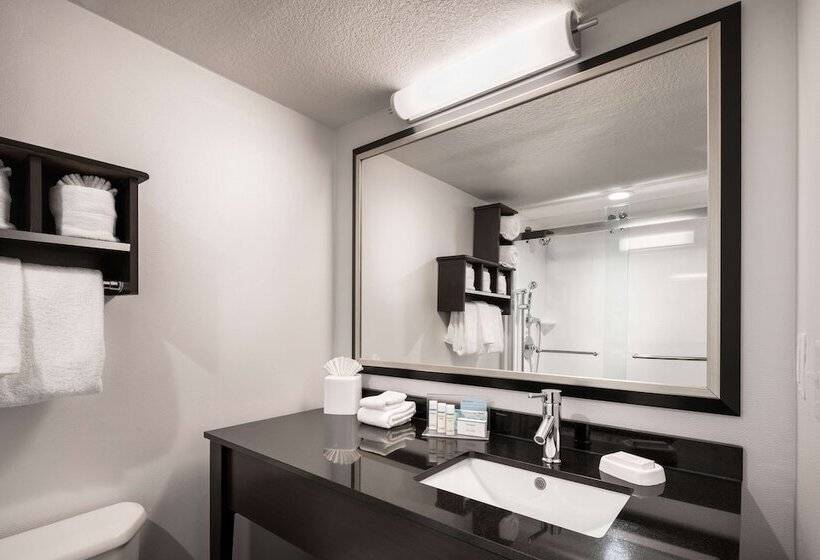 스탠다드 룸, Hampton Inn Denverwest/golden