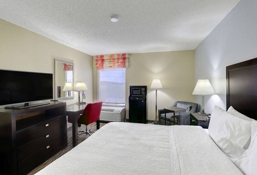 Standaard Studio met Tweepersoonsbed, Hampton Inn Nashvillei24 Hickory Hollow