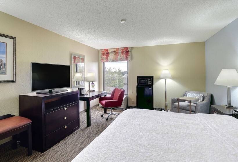 Standaardkamer met Kingsize Bed, Hampton Inn Nashvillei24 Hickory Hollow