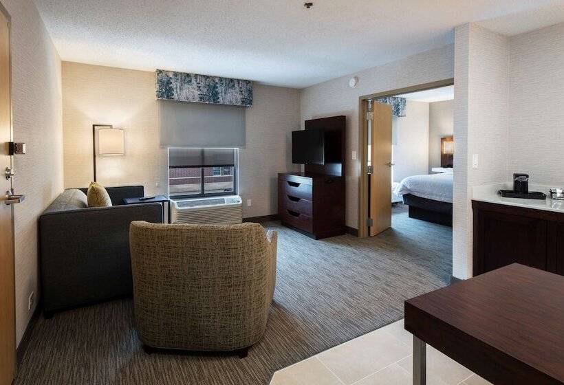 스위트 킹사이즈 침대, Hampton Inn & Suites Chicago/lincolnshire