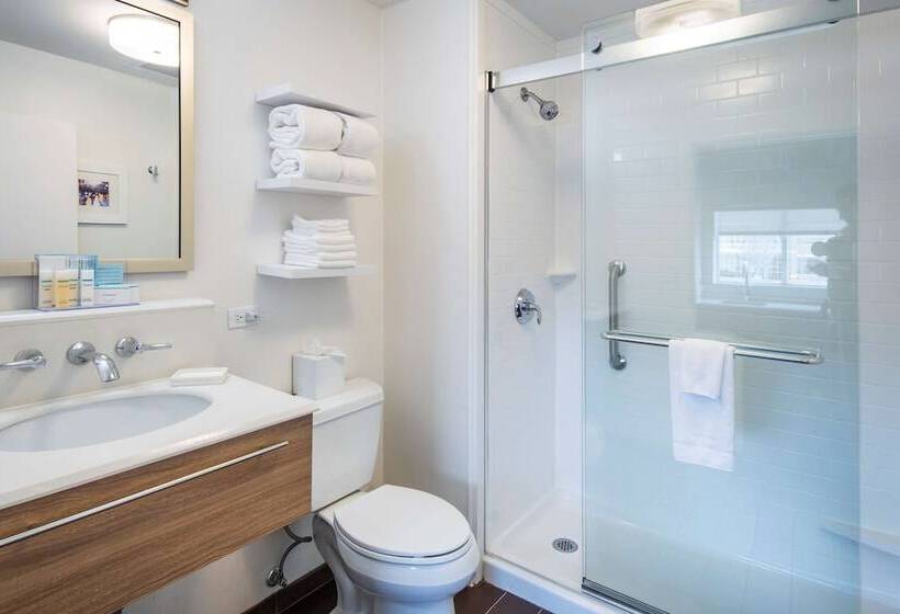 스탠다드 스튜디오 킹침대, Hampton Inn & Suites Chicago/lincolnshire