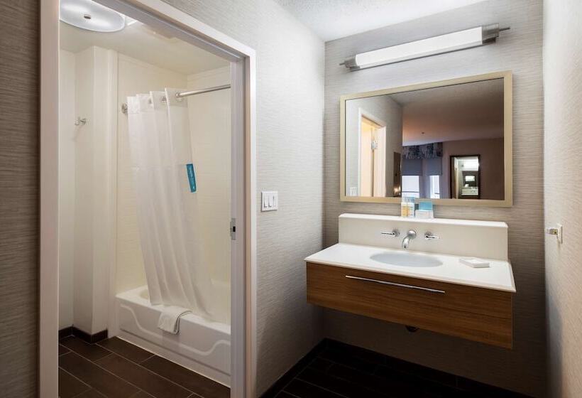 스위트, Hampton Inn & Suites Chicago/lincolnshire