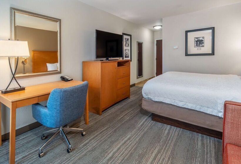 Mozgáskorlátozott Standard Szoba King Size Bed, Hampton Inn & Suites Nashvillevanderbiltelliston Place
