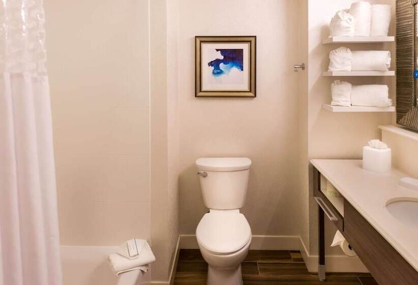 豪华房间, Hampton Inn & Suites Orlando/east Ucf Area