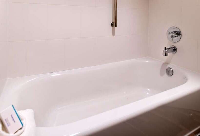 豪华房间, Hampton Inn & Suites Orlando/east Ucf Area