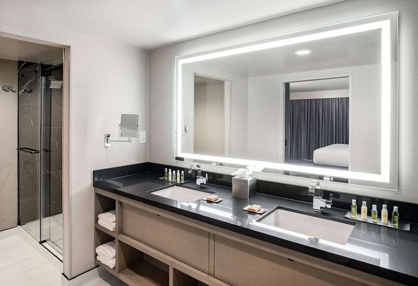 سوئیت با بالکن, Doubletree By Hilton Washington Dc North/gaithersburg