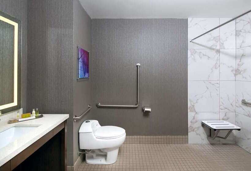 اتاق استاندارد با تخت بزرگ, Doubletree By Hilton Washington Dc North/gaithersburg