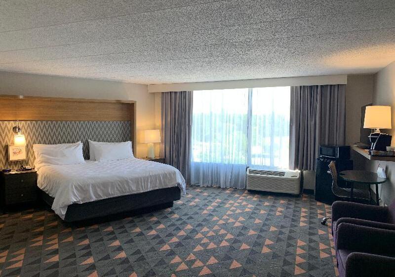身障者適用スタンダードルーム, Hilton Garden Inn Arcadia/pasadena Area