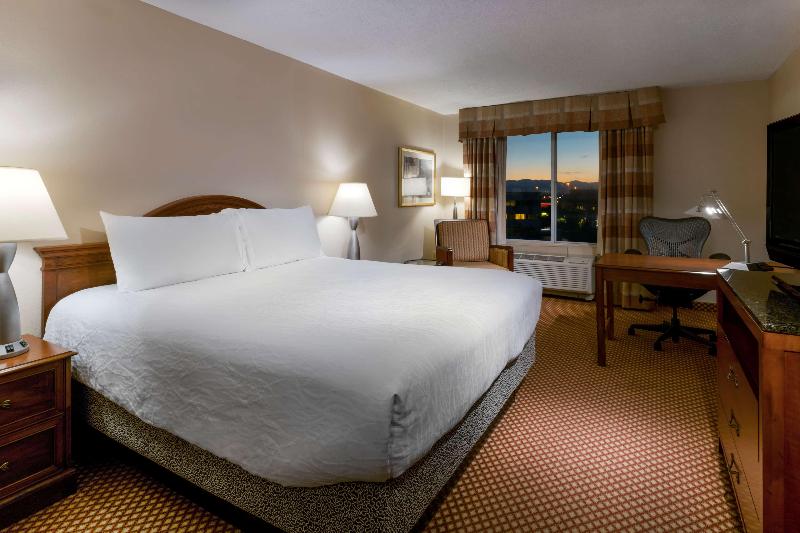 Стандартный Номер Кровать Кинг, Hilton Garden Inn Denver Airport