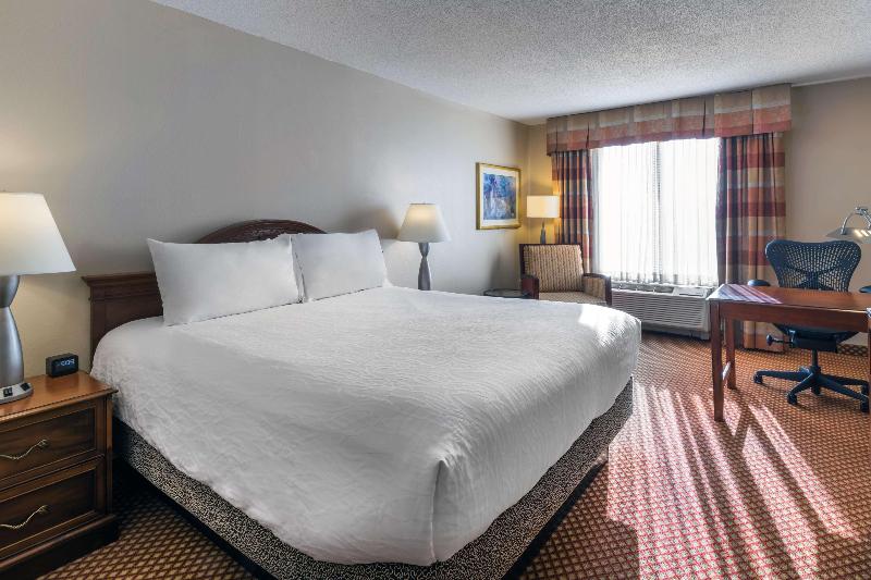 Люкс Кровать Кинг, Hilton Garden Inn Denver Airport