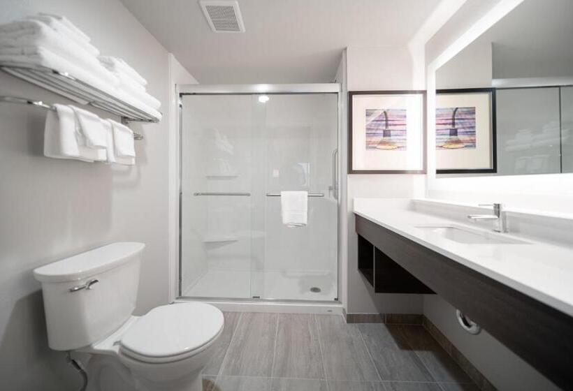 Номер Премиум, Holiday Inn Kearney, An Ihg