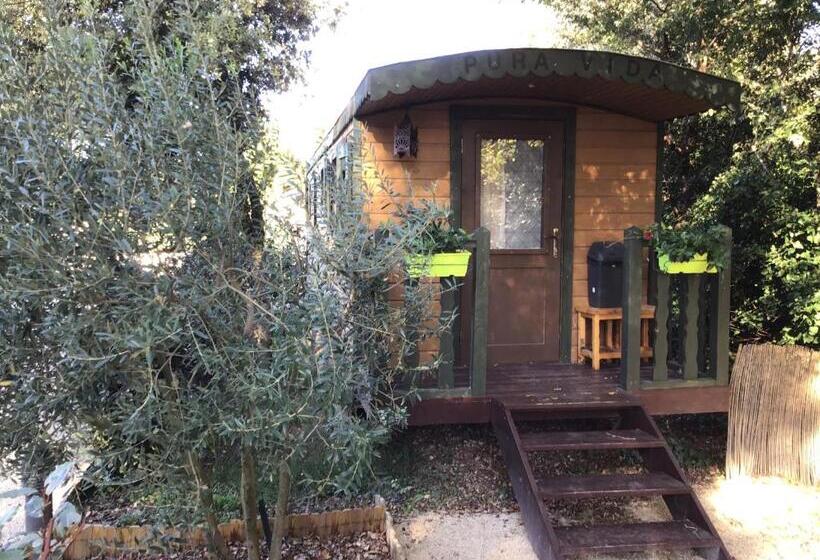Номер Стандарт, Des Roulottes En Provence