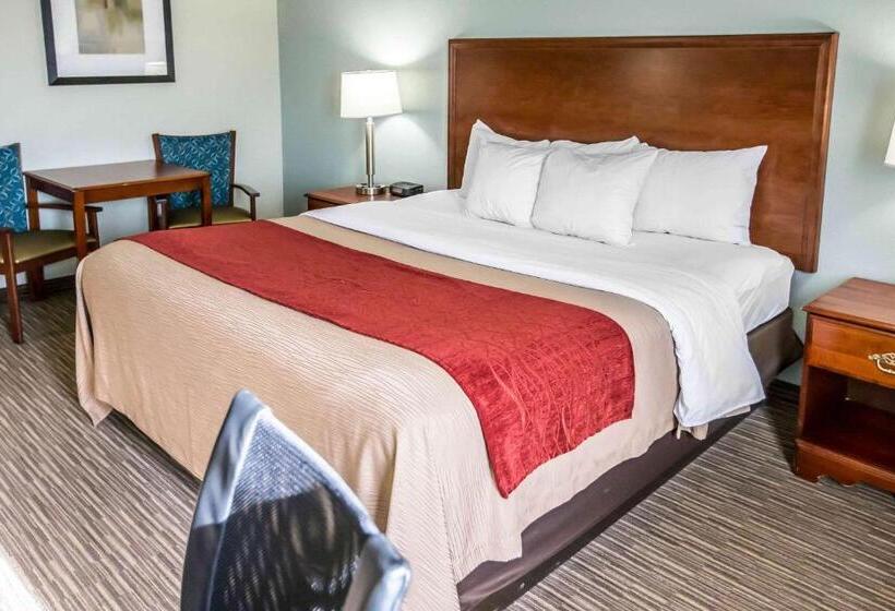 Стандартный Номер Кровать Кинг, Comfort Inn